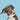 hunting dog collars