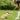 Non-toxic Chewable Dog Toys made for safe chewing