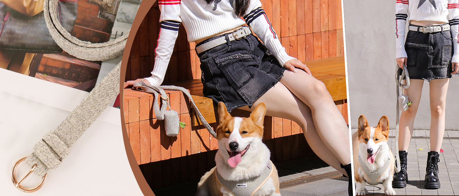 BOBOTAILS chunky knitted matching dog harness and leash set