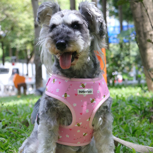 Bobotails Dog Harness,Escape Proof Dog Harness with 1 Dog Leash Clips, Adjustable Soft Padded Dog Vest, Airmesh Breatheable Pet Cotton material Vest with Easy Control for Small and Medium Size Dogs