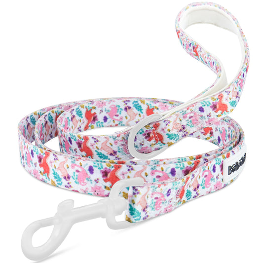 Lightweight nylon leash for small dogs with secure clasp and padded handle