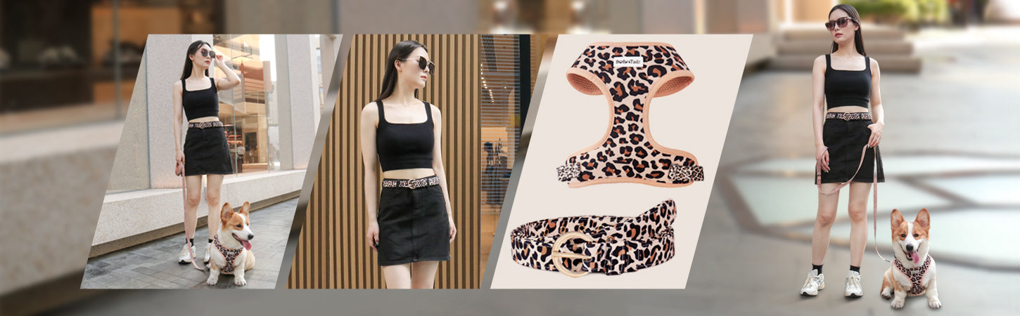 Woman walking her dog wearing leopard print matching dog and owner accessories designed as one coordinated system
