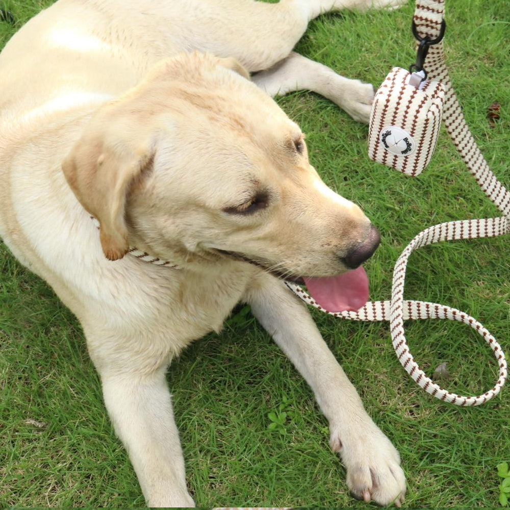 Bobotails Small Gaindog hiking gear,2/3/5 FT Dog Leash with Comfortable Padded Handle Small and Medium Dogs