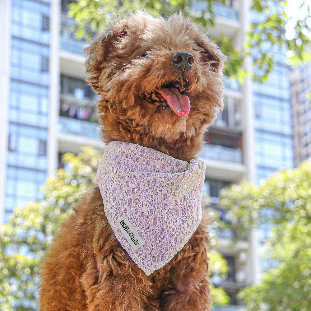 2024 Bobotails Lavender Purple New Collection Beauty of Lace Dog Bow Ties For Small Dogs and Medium Dogs