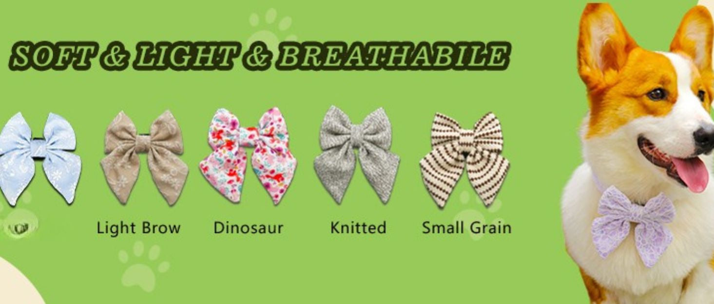Dog accessories with various designs on a green background