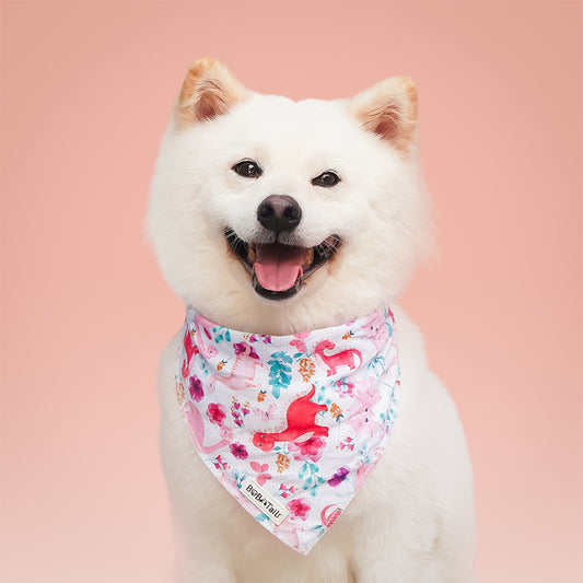 Dinosaur Printed Dog Bandana