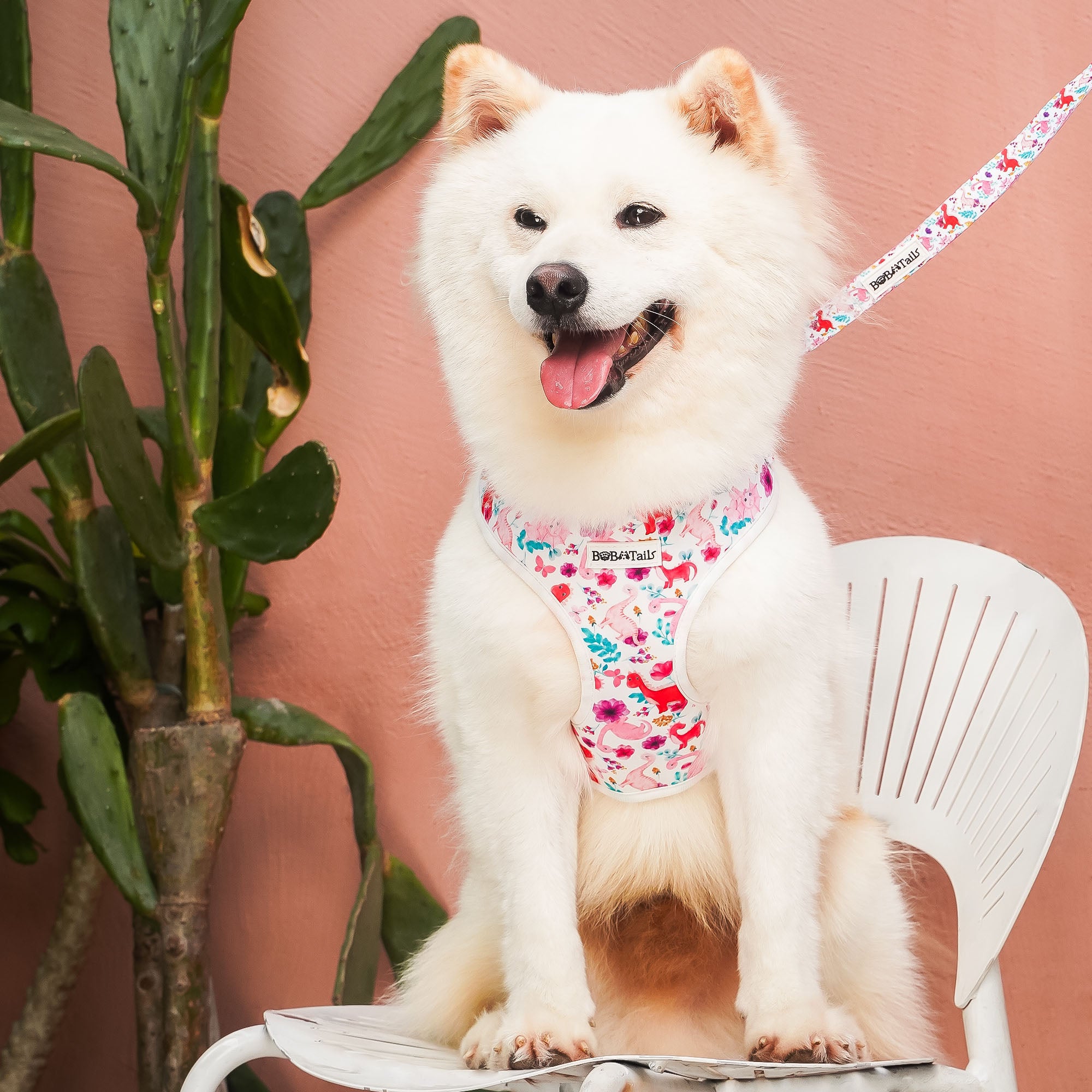 Dinosaur Printed best leash for running with dog matching the harness and owner accessories in a coordinated set