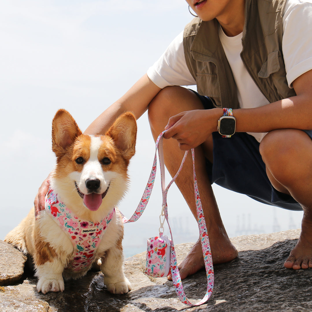 Dinosaur_Printed hiking dog harness leash set as part of a complete dog and owner matching accessory set