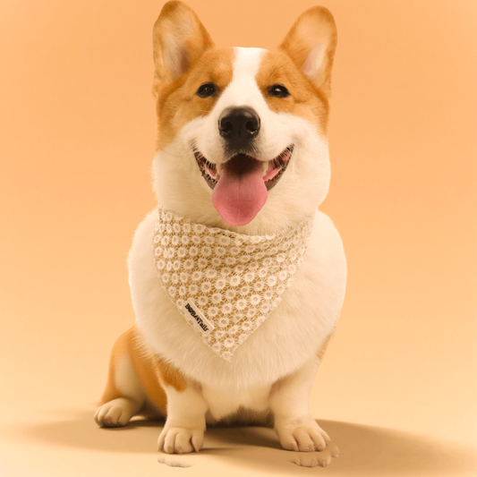 Floral Brilliance Dog Bandanas