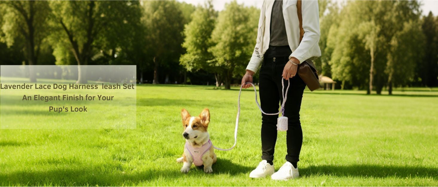 lavender lace dog harness and leash set designed as part of a matching dog and owner accessory system for everyday walks