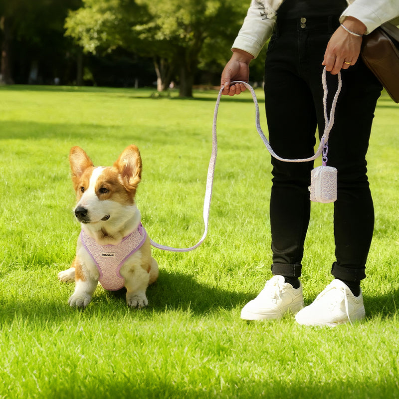 Lavender lace biodegradable poop bags holder matching the Lavender lace harness and owner accessories for daily dog walks