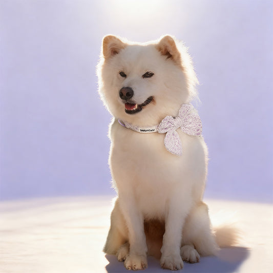 Lavender lace dog bow ties collars design to match the lavender lace harness and owner accessories for daily dog walks