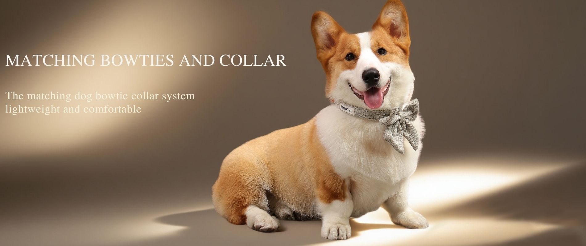 bobotails matching dog harness ,collar,bowties system for small medium dog