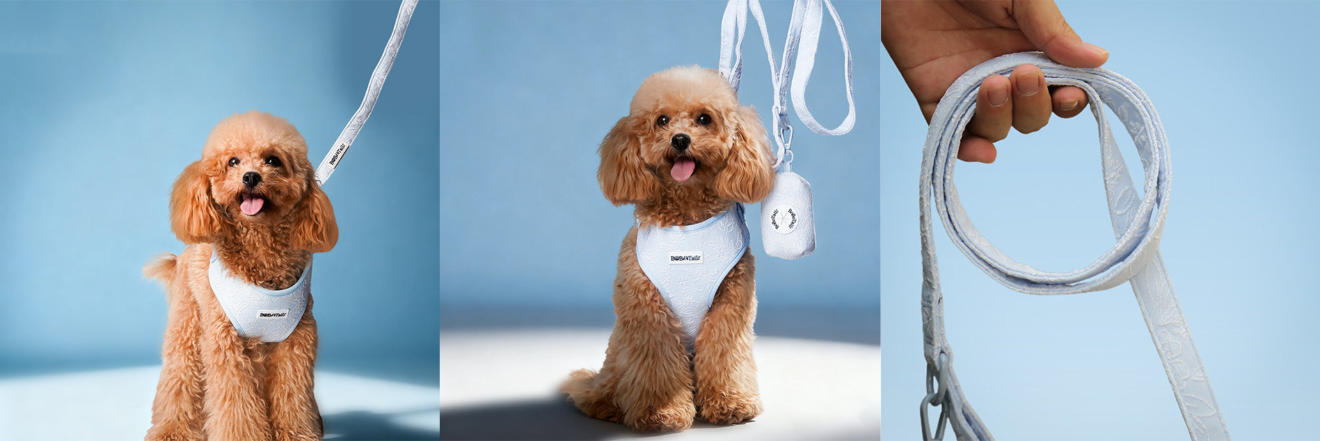 morning glory blue dog leash set designed to match the harness and owner accessories for modern pet parents