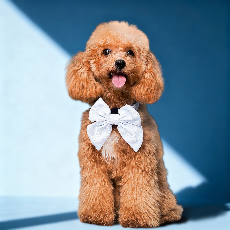 Morning Glory dog bow tie wedding designed to complement the harness and accessories within the set