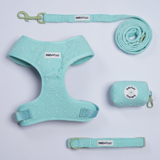 Silk Embroidery Harness, Leash, Collar and Poop Bag Holder Bundle