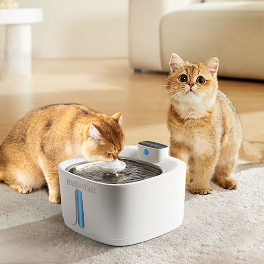 Pet drinking fountain for cats with LED light and silent pump