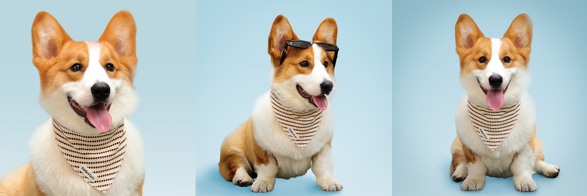 Bobotails small grain dog birthday bandana