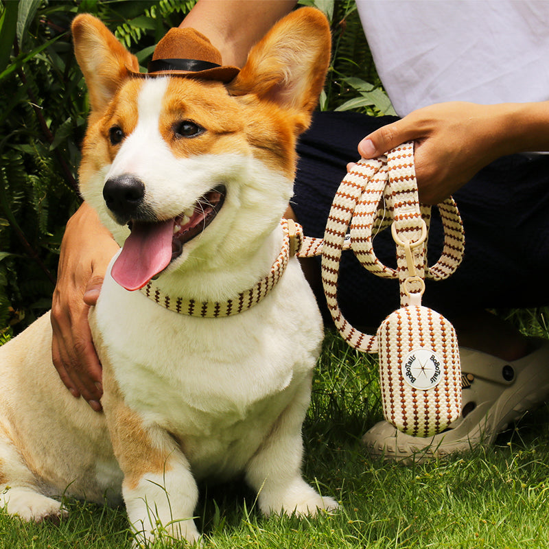 Corgi dog collar leash and dog poop bag holder on grass