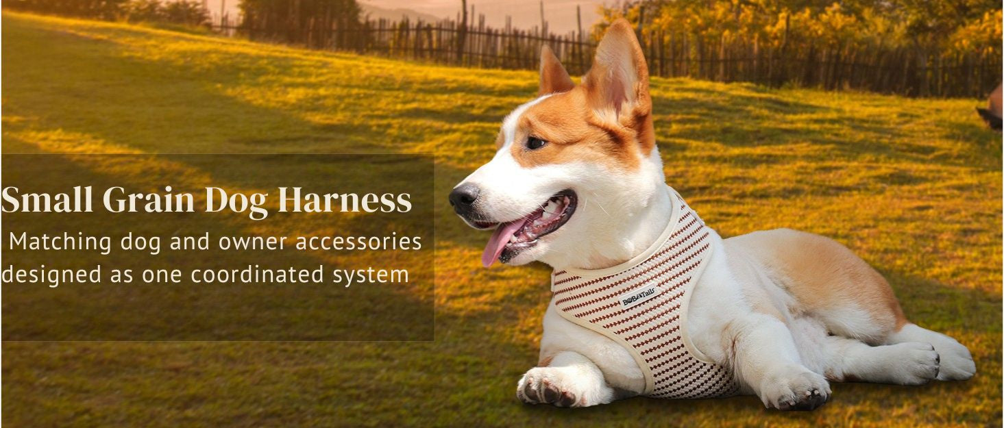 small grain matching dog and owner accessories designed as one coordinated system