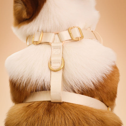 Dog wearing flora brilliance harness with gold hardware on a beige background-bobotails