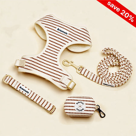 A pet accessory set laid out on a light beige background, including a harness, leash, collar, and small pouch. The items are cream with brown dotted stripes and gold-tone hardware.