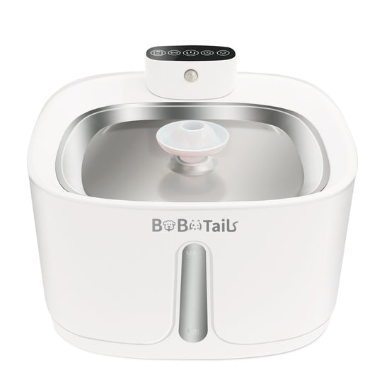 Automatic cat water fountain with filtered water flow