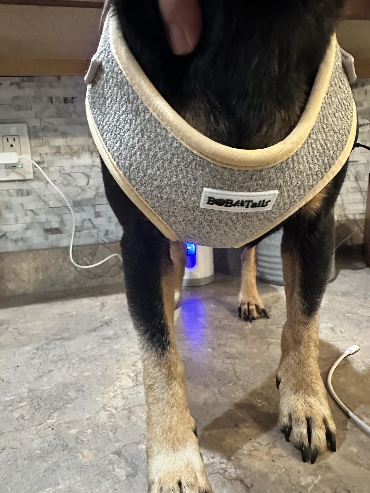 chunky knitted adjustable dog harness for medium dog -Bobotatils