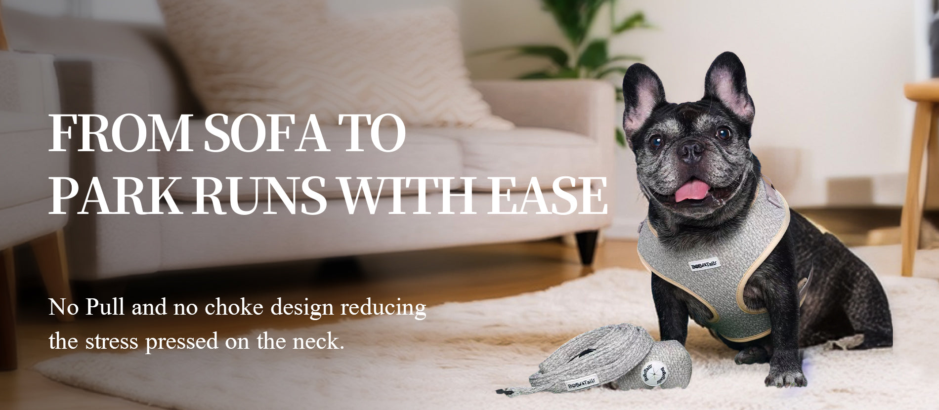 BOBOTAILS chunky knitted matching dog harness and leash set for small and medium french bulldog