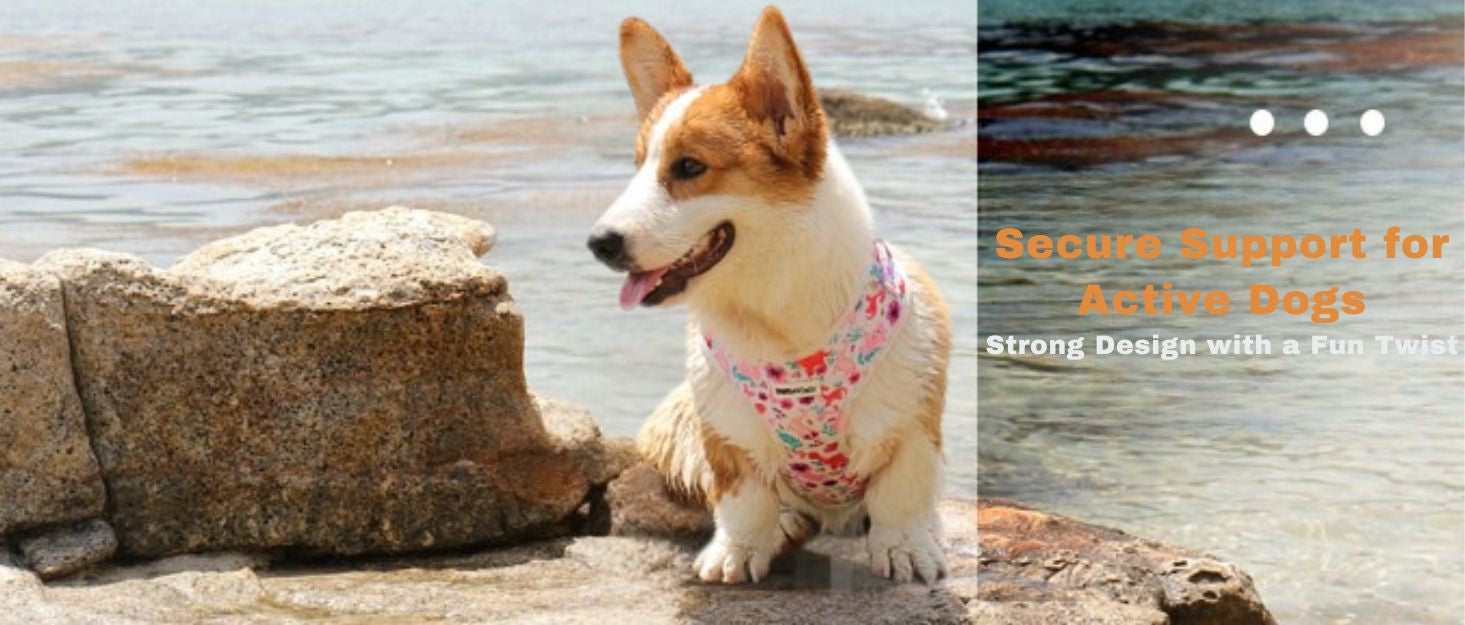 dinosaur printed cute dog harnesses as part of a complete dog and owner matching accessory set