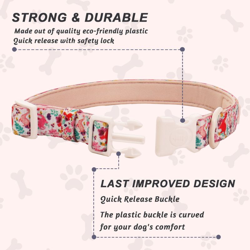 dinosaur printed cutest dog collars matching the harness and owner accessories for daily dog walks