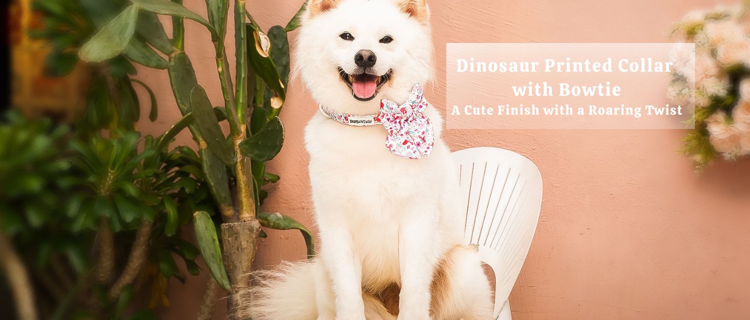 dinosaur printed dog bow ties for collar designed as part of a matching dog and owner accessory system for everyday walks