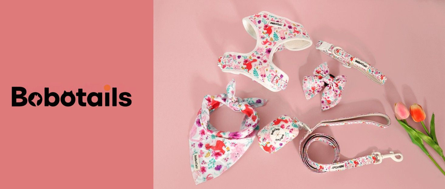 dinosaur printed dog harness collar and leash set as part of a complete dog and owner matching accessory set