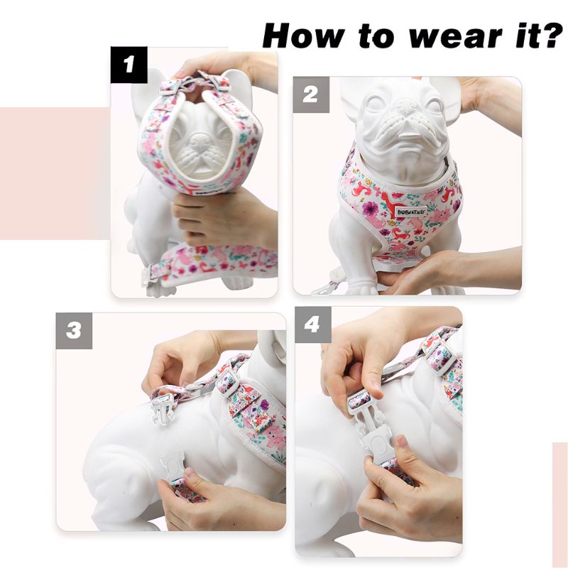 Step-by-step guide on how to wear a dinosaur printed dog harness.