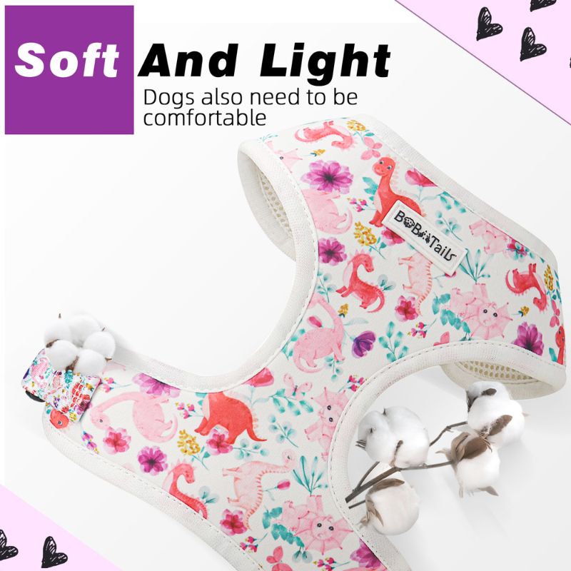 dinosaur printed lightweight dog harness matching dog and owner accessories designed as one coordinated system