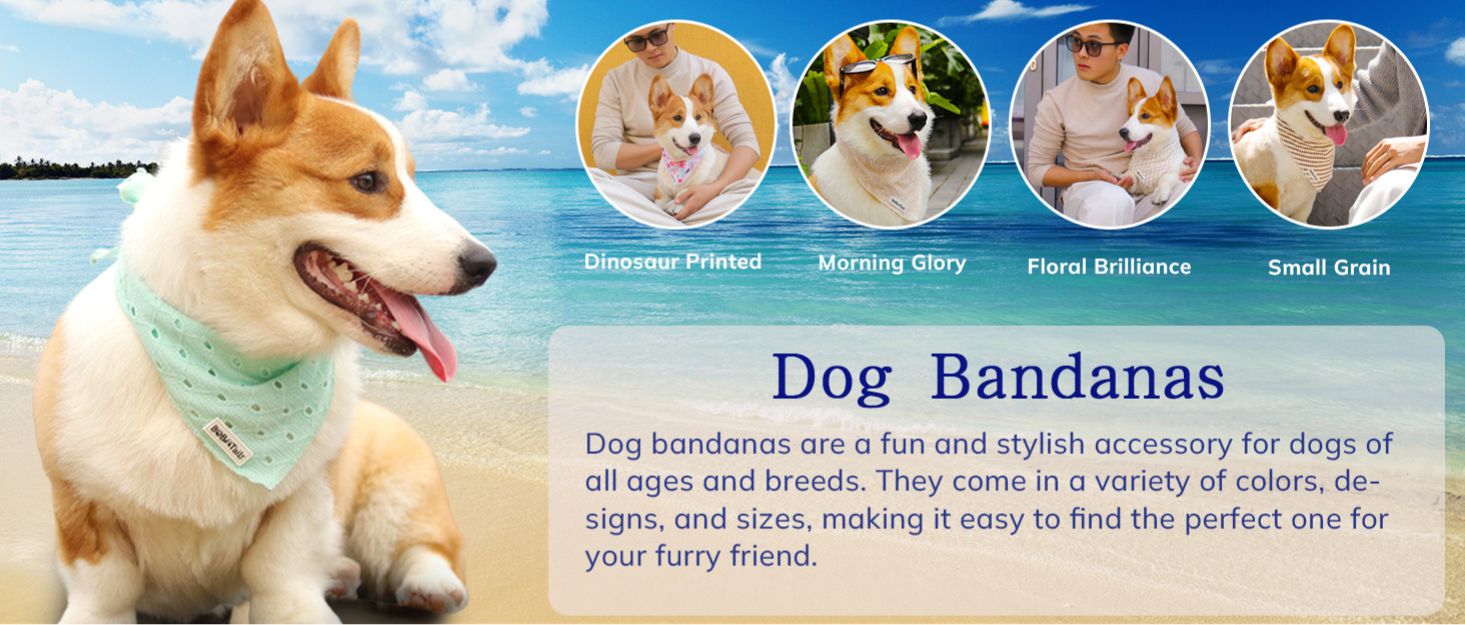 Matching dog bandana designed to complement the harness and accessories within the set