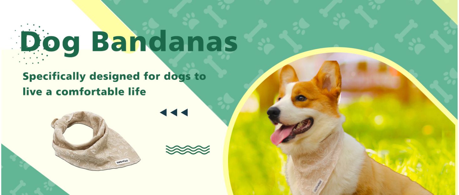 dog bandanas matching dog harness and owner accessories