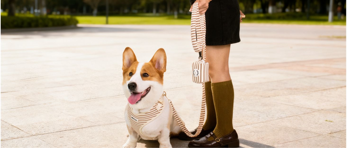 small grain dog harness and leash set dog harness showing fit and comfort within a coordinated dog and owner matching system
