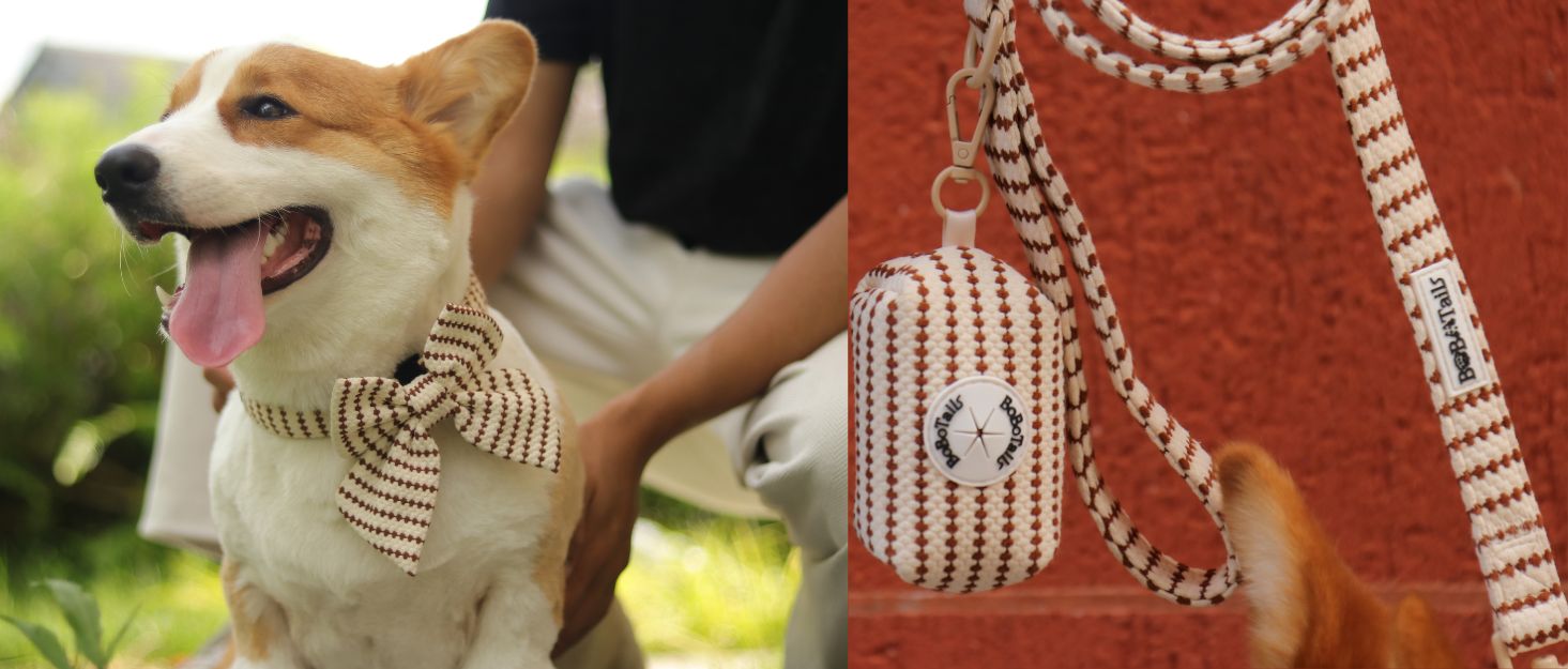 small grain dog leash designed to match the harness and owner accessories for modern pet parents