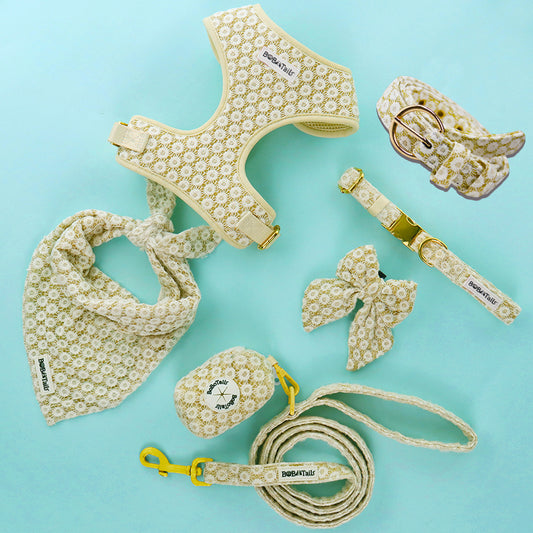 Floral brilliance Dog harness, leash, bowtie,women belt,collar ,bandana and poop bag holder with floral pattern on a light blue background