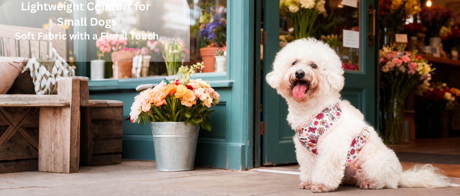 flower printed best small dog harness as part of a complete dog and owner matching accessory set