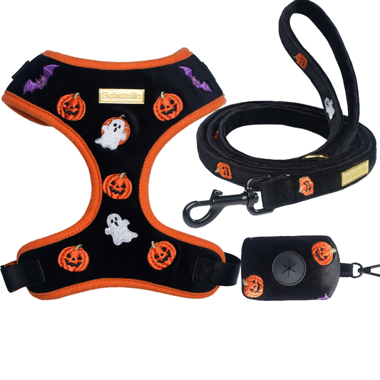 Halloween-themed dog harness, leash, and poop bag holder set on a white background
