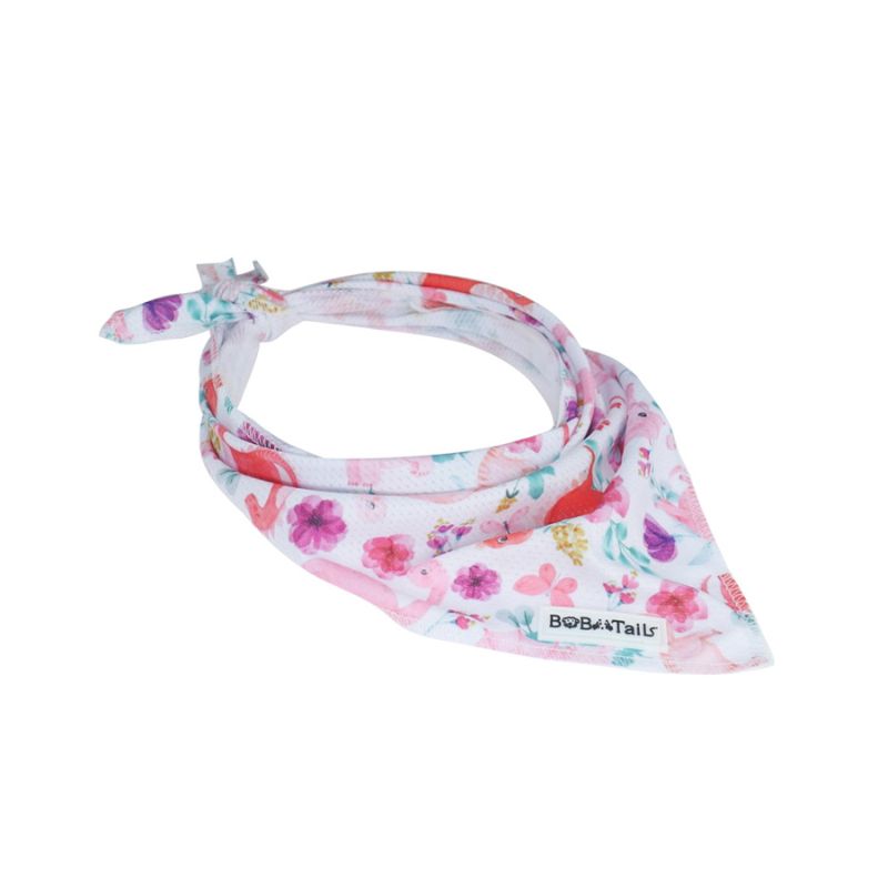dinosaur printed patterned bandana with 'Bows & Tails' branding on a white background