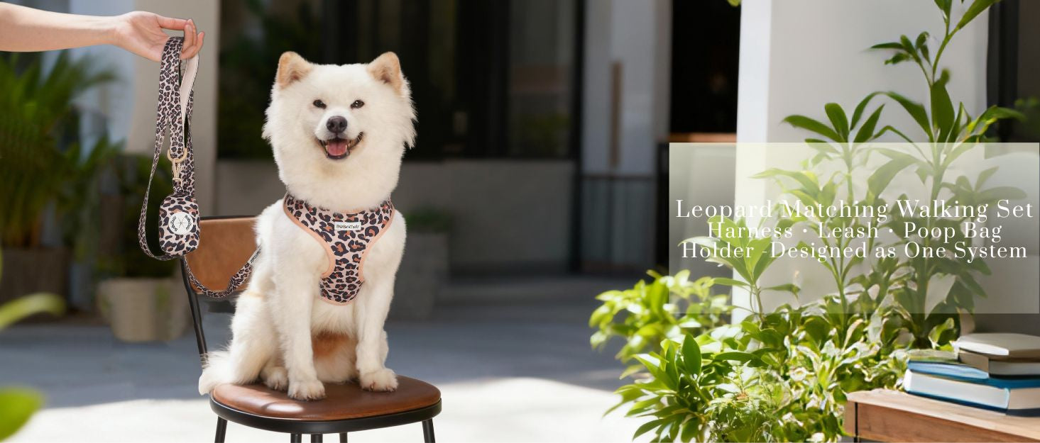 leopard dog leash and harness sets designed as part of a matching dog and owner accessory system for everyday walks
