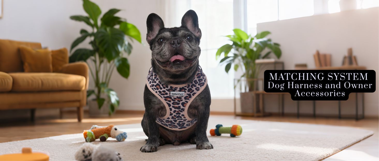 A medium Dog bulldog wearing leopard dog vest harness as part of a coordinated dog and owner accessory system