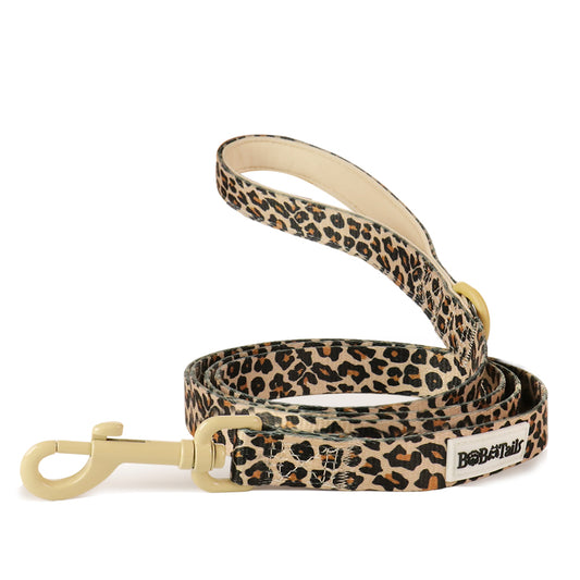 leopard printed dog leash for small medium dog matching the harness and owner accessories in a coordinated set