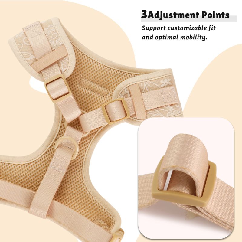 morning glory biscuit dog harness with adjustable straps