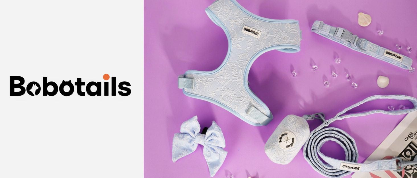 morning glory blue dog collar leash and harness as part of a complete dog and owner matching accessory set