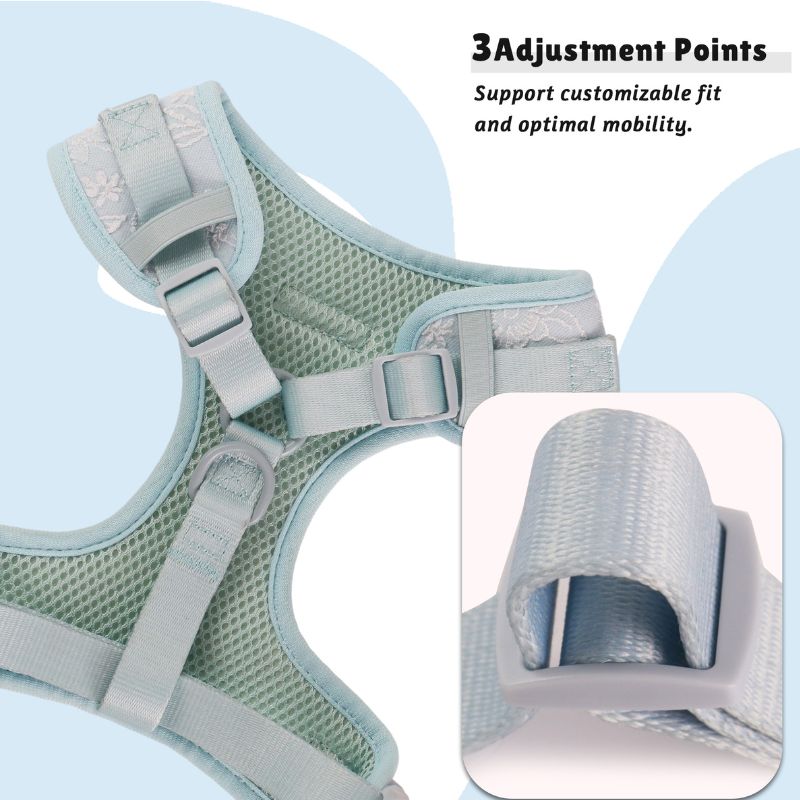 mornng glory blue dog harness with adjustable straps