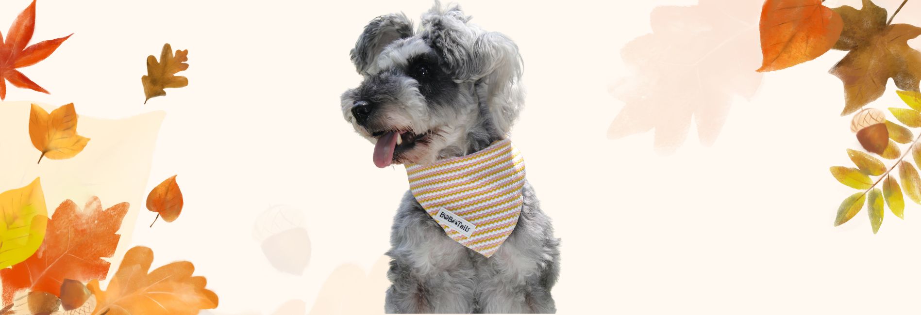 Dog wearing a striped bandana with autumn leaves in the background